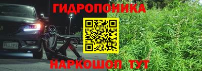 крисы Тара