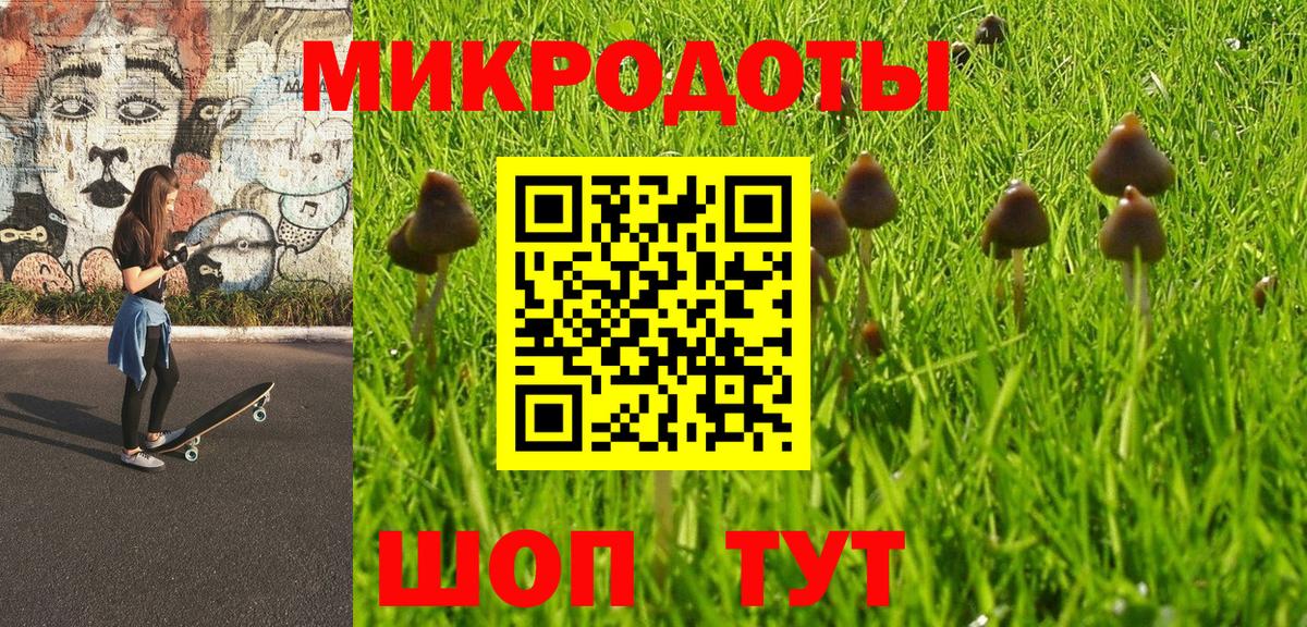 Псилоцибиновые грибы мицелий Бугуруслан