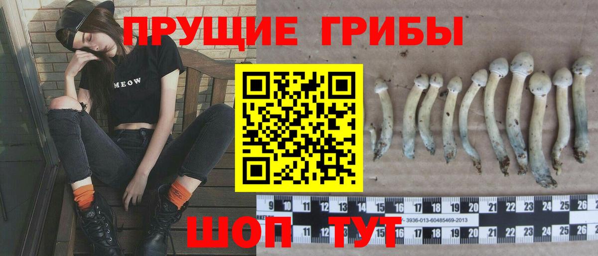Псилоцибиновые грибы мицелий  Вход с VPN  Бугуруслан  Галлюциногенные грибы мицелий 